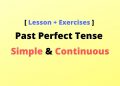 Past Perfect Tense Simple and Continuous