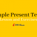 a Simple Present Tense Lesson and Exercises